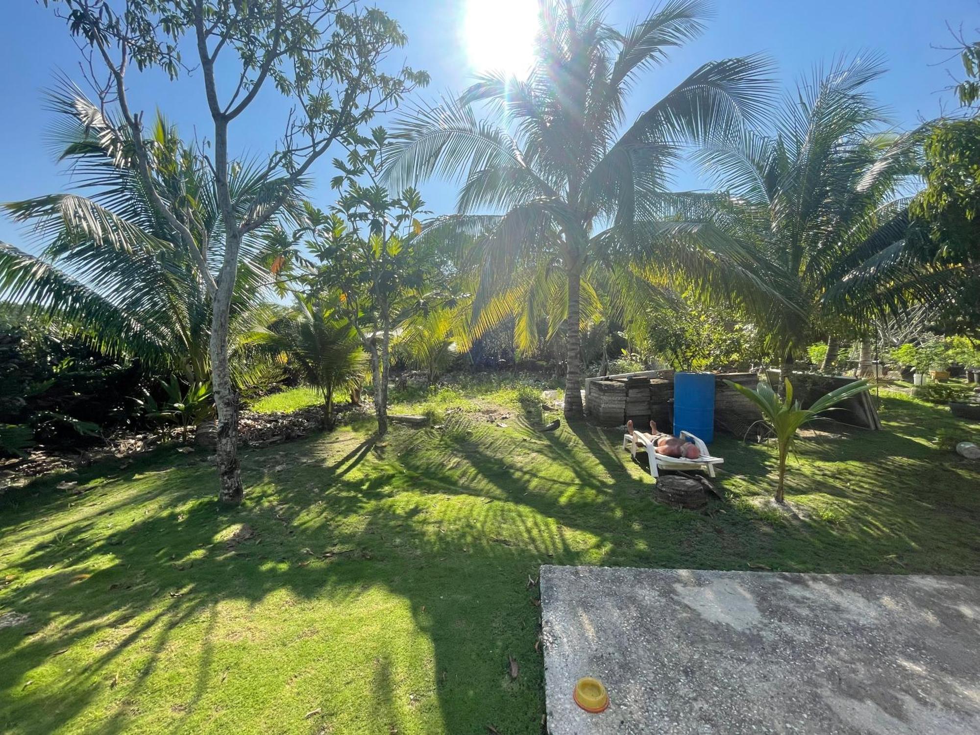 R&V Villa Negril Ngoại thất bức ảnh