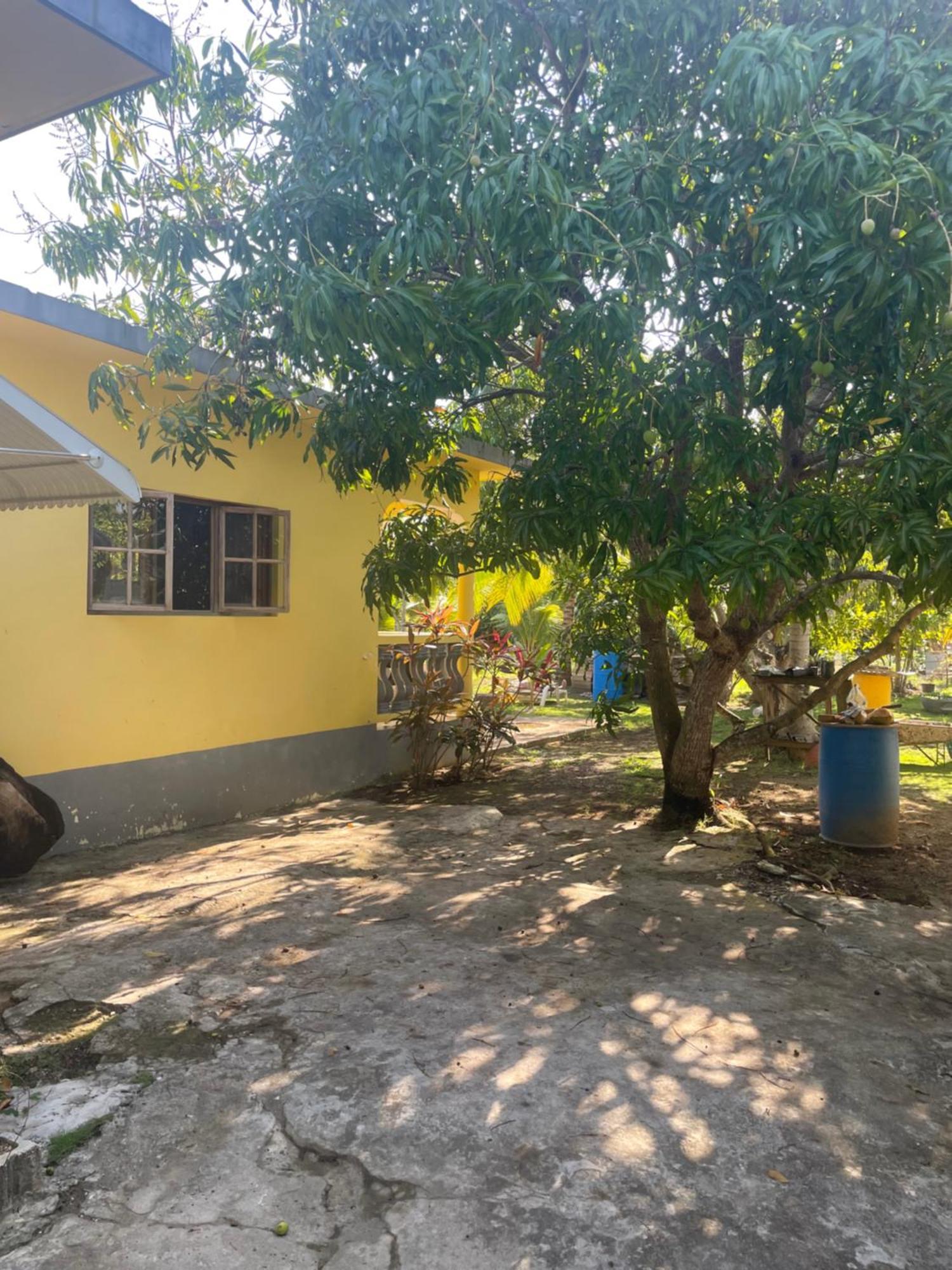 R&V Villa Negril Ngoại thất bức ảnh